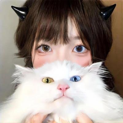 她来了 特别篇